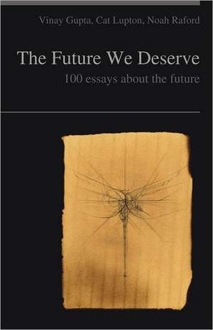 The Future We Deserve de Vinay Gupta