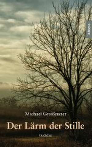 Der Lärm der Stille de Michael Groißmeier