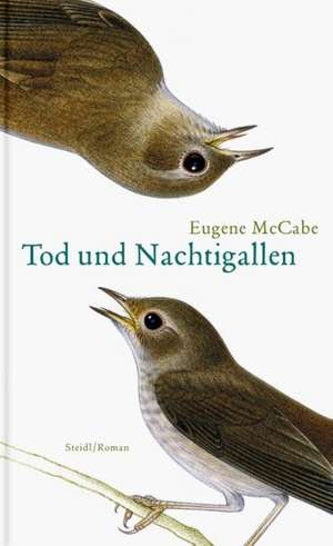 Tod und Nachtigallen de Eugene McCabe