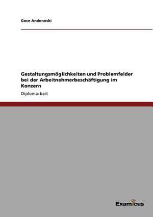 Gestaltungsmöglichkeiten und Problemfelder bei der Arbeitnehmerbeschäftigung im Konzern de Goce Andonoski