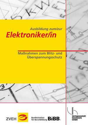 Ausbildung zum/zur Elektroniker/in Bd. 2 - Maßnahmen zum Blitz- und Überspannungsschutz de Reinhard Soboll