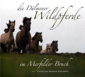 Die Dülmener Wildpferde in Merfelder Bruch de Jörg Gierse