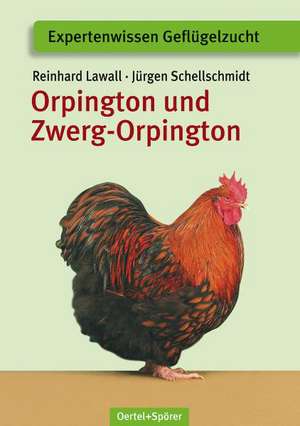 Orpington und Zwerg-Orpington de Reinhard Lawall