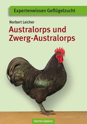 Australorps und Zwerg-Australorps de Norbert Leicher