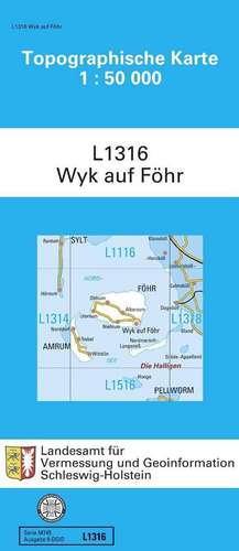 Wyk auf Föhr 1 : 50 000