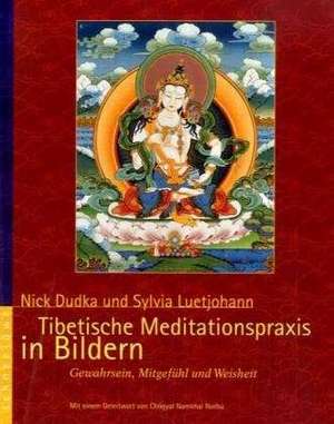 Tibetische Meditationspraxis in Bildern de Sylvia Luetjohann