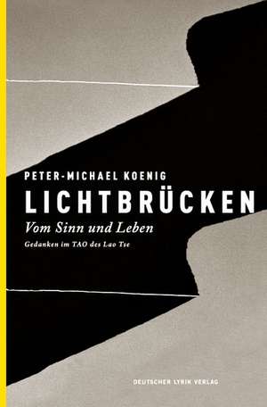 Lichtbrücken de Peter-Michael Koenig