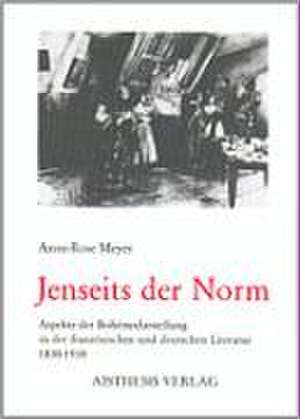 Jenseits der Norm de Anne R Meyer