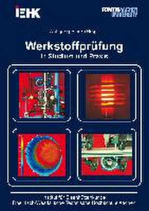 Werkstoffprüfung in Studium und Praxis de Wolfgang Bleck