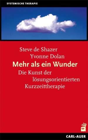 Mehr als ein Wunder de Steve de Shazer