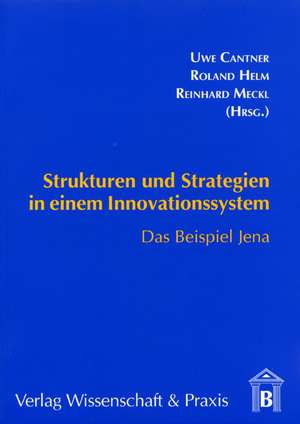 Strukturen und Strategien in einem Innovationssystem de Roland Helm