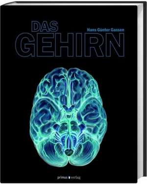 Das Gehirn de Hans G. Gassen