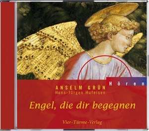 Engel, die dir begegnen de Anselm Grün