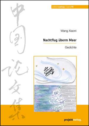 Nachtflug überm Meer de Xiaoni Wang