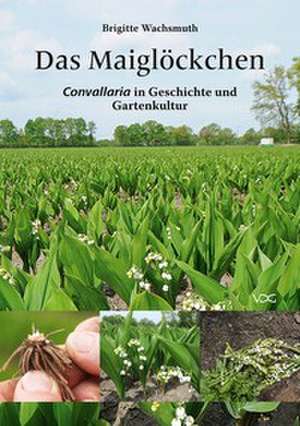Das Maiglöckchen de Brigitte Wachsmuth