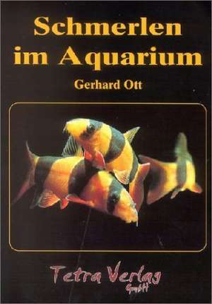 Schmerlen im Aquarium de Gerhard Ott