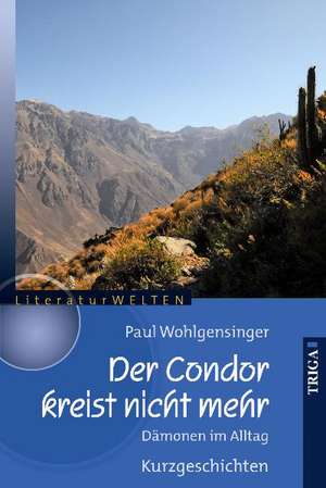 Der Condor kreist nicht mehr de Paul Wohlgensinger