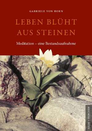 Leben blüht aus Steinen de Gabriele von Horn