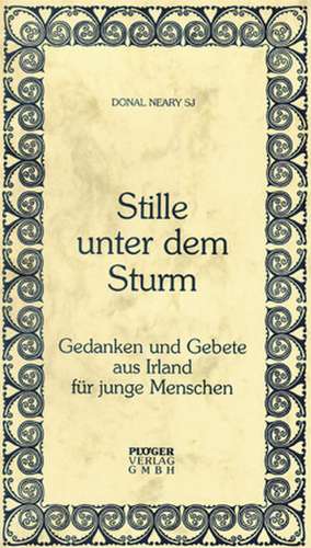 Stille unter dem Sturm de Donal Neary