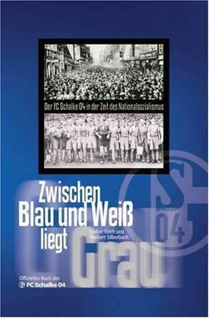 Zwischen Blau und Weiß liegt Grau de Stefan Goch