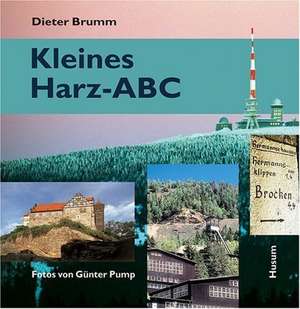 Kleines Harz-ABC de Dieter Brumm