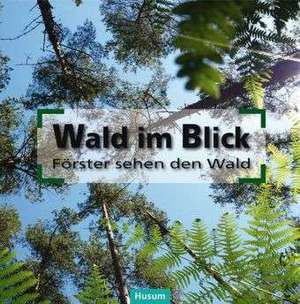 Wald im Blick