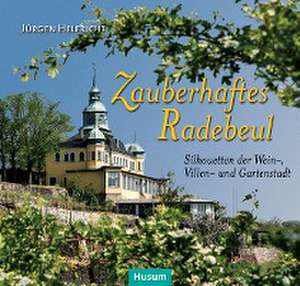 Zauberhaftes Radebeul de Jürgen Helfricht