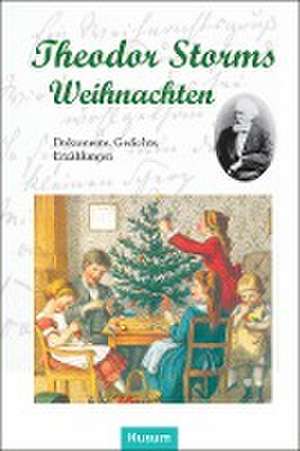 Theodor Storms Weihnachten de Gerd Eversberg