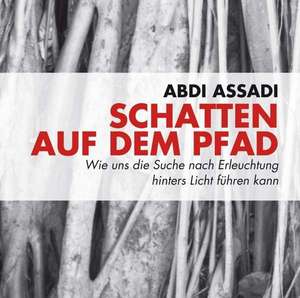 Assadi, A: Schatten auf dem Pfad/CD