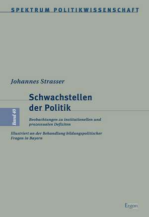 Schwachstellen der Politik de Johannes Strasser