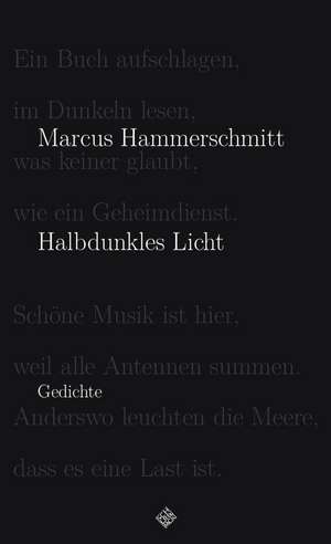 Halbdunkles Licht de Marcus Hammerschmitt