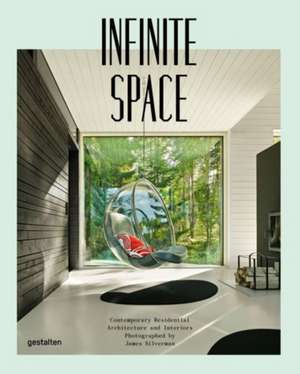 Infinite Space de James Silverman