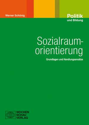 Sozialraumorientierung de Werner Schönig