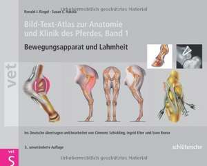 Bild-Text-Atlas zur Anatomie und Klinik des Pferdes de Ronald J. Riegel