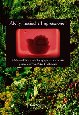 Alchymistische Impressionen de Peter Hochmeier