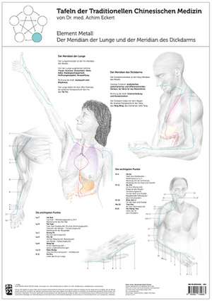 Tao Training Meridiantafel Metall Element de Achim Eckert