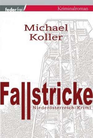 Fallstricke de Michael Koller