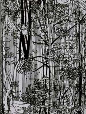 Bücherwald de Ingo Giezwndanner