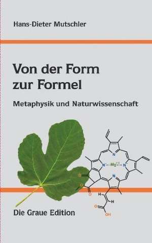 Von der Form zur Formel de Hans-Dieter Mutschler