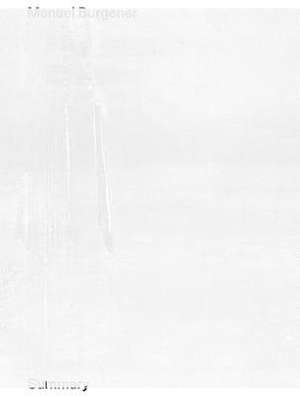 Summary de Manuel Burgener