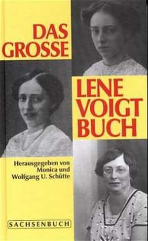 Das große Lene Voigt Buch de Lene Voigt