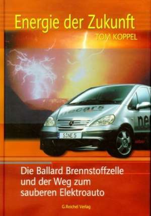 Energie der Zukunft de Tom Koppel