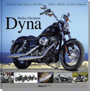 Harley-Davidson Dyna de Carsten Heil