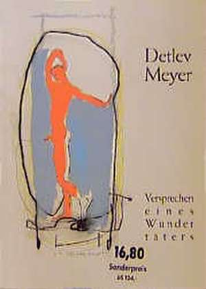 Versprechen eines Wundertäters de Detlev Meyer