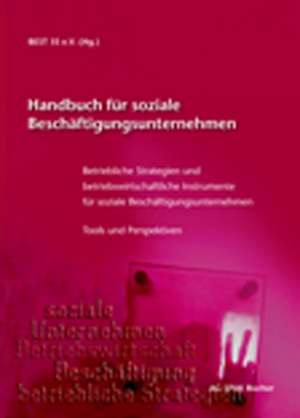 Handbuch für soziale Beschäftigungsunternehmen de Wolfgang Gallfuß