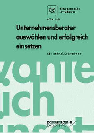 Unternehmensberater auswählen und erfolgreich einsetzen de Lisa Gondos