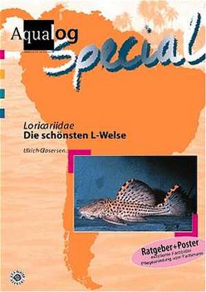 Loricariidae. Die schönsten L-Welse de U. Glaser