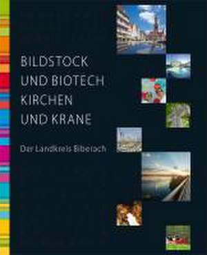 Bildstock und Biotech, Kirchen und Krane de Hans-Peter Biege