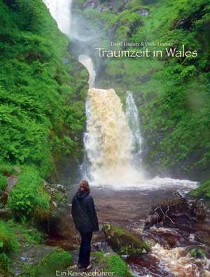 Traumzeit in Wales de David Lindner