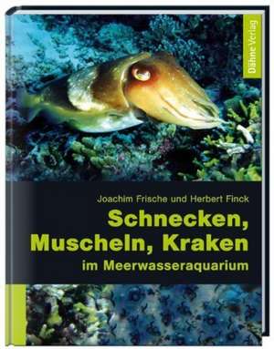 Schnecken, Muscheln, Kraken im Meerwasseraquarium de Joachim Frisch